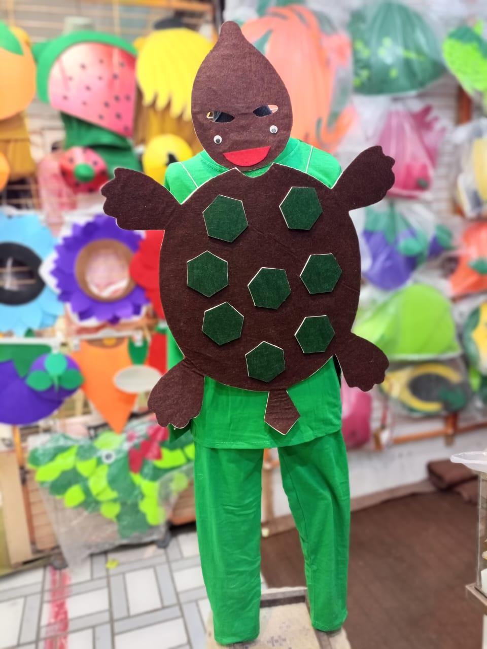 Turtle Costume