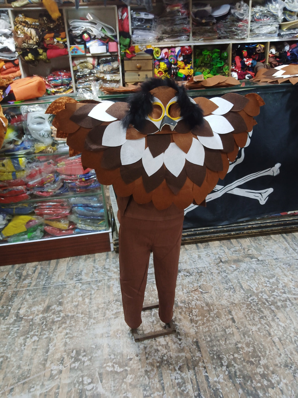 Owl Costume