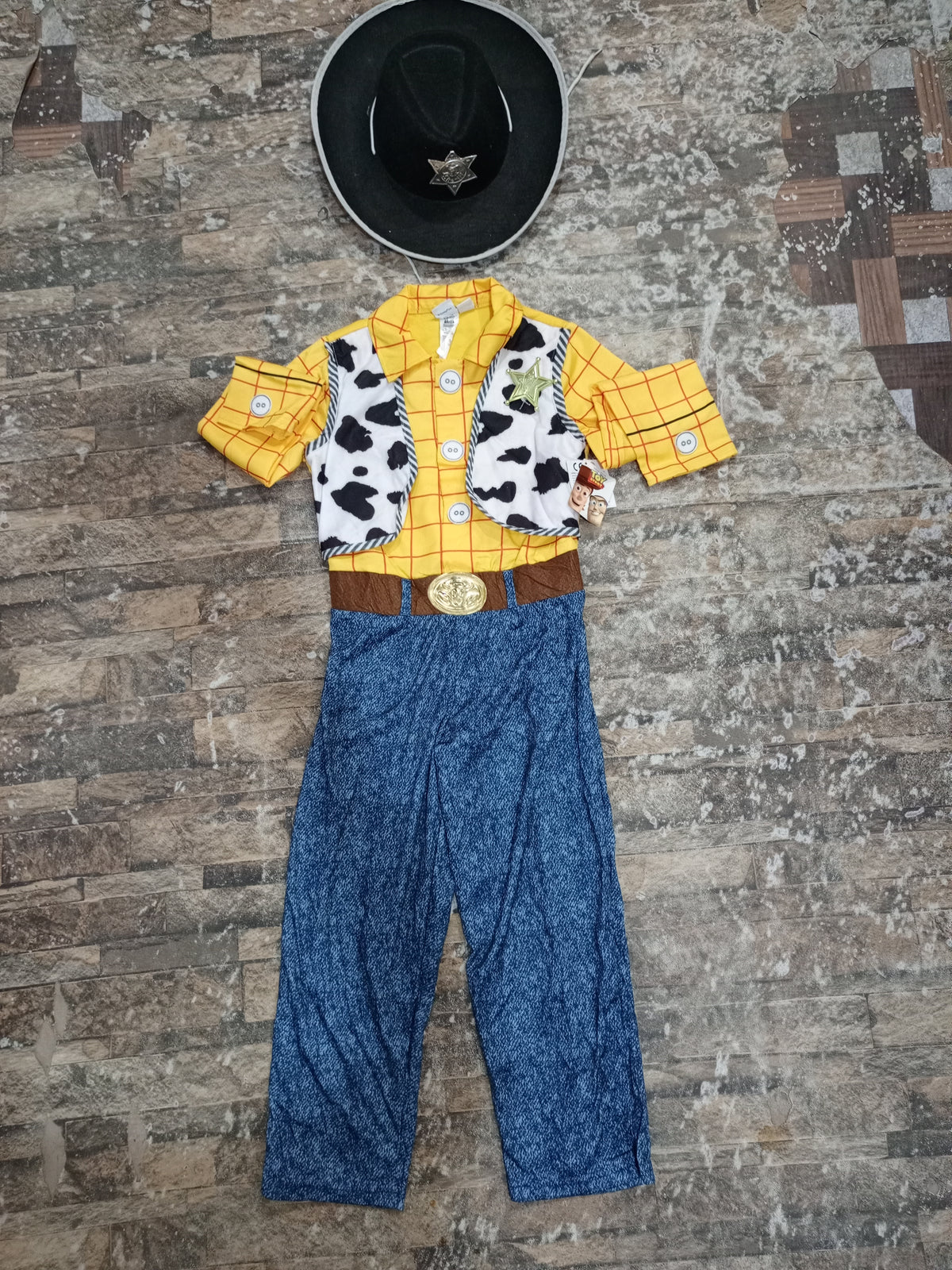 Woody Costume