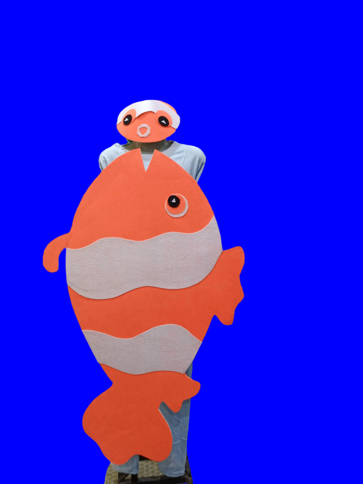 Nemo Fish