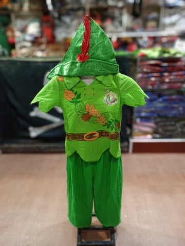 Peter Pan Costume