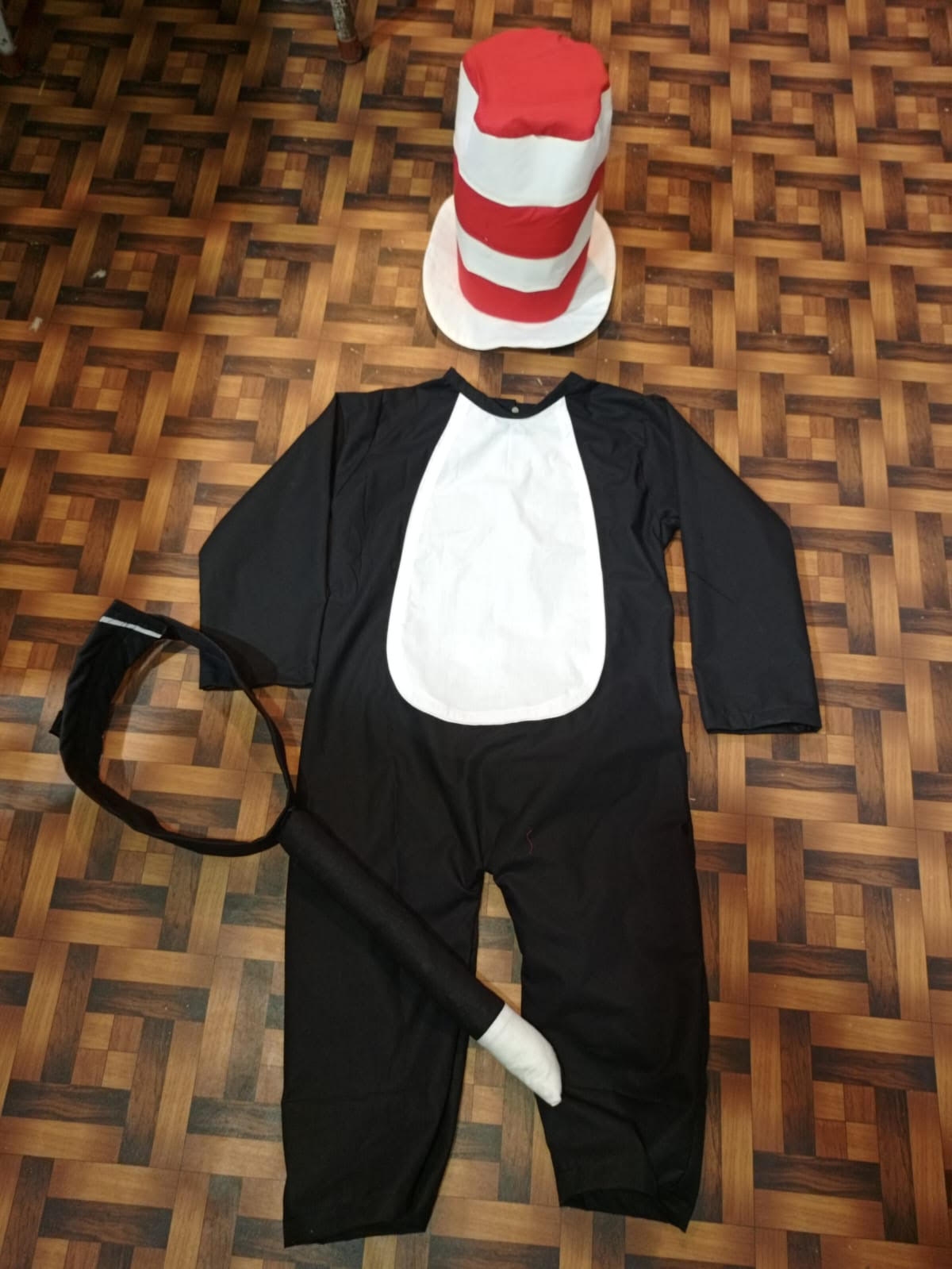 Cat in The Hat Costume