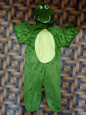 Dinosaur costume